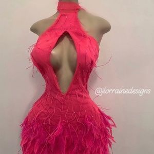 Hot Pink Feathered Dress